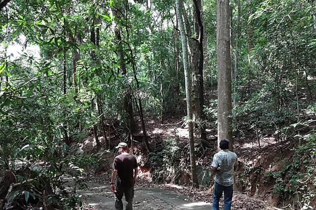 The Golden Crown Hotel - Udawattakele Forest Reserve